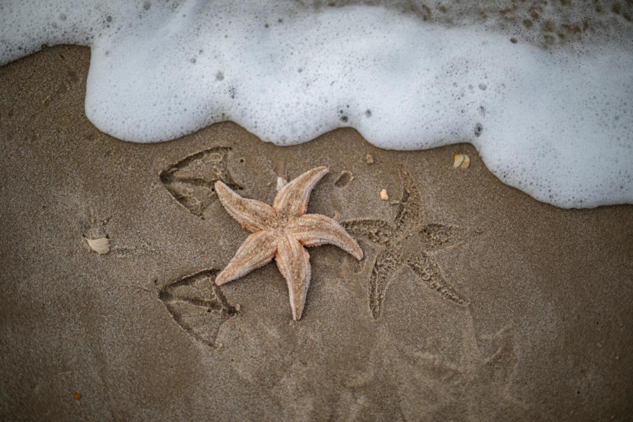 Strandstudio'S Camperduin Schoorl Kültér fotó